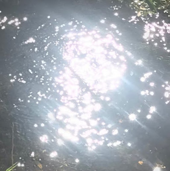 Meet your Posher, Junior - Picture 1 of 1